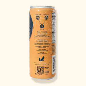 Sly™ CHILL - 12oz Relax + Calm Relaxation Drink