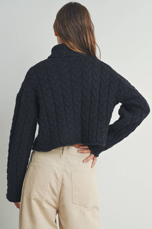 Thick Braid With Turtle Neck Long-Sleeve Sweater
