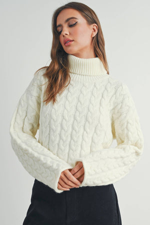 Thick Braid With Turtle Neck Long-Sleeve Sweater