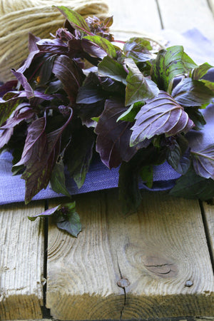 Basil, Purple Haze Opal Seed Packets