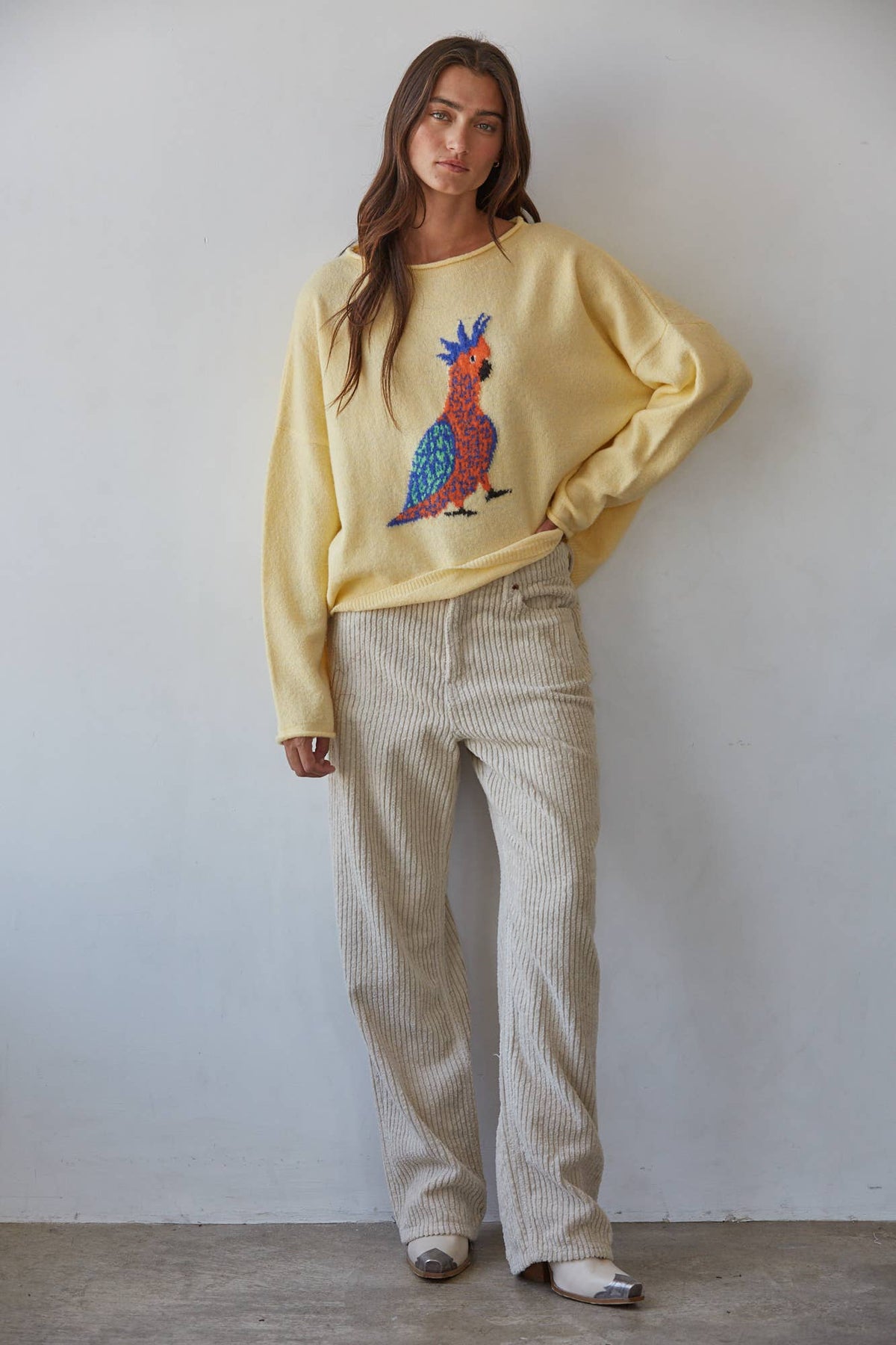 Bird Print Knit Pullover Sweater – Creamy Yellow