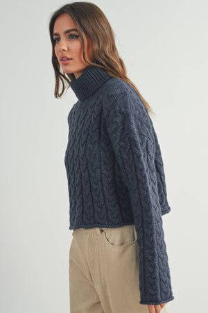 Thick Braid With Turtle Neck Long-Sleeve Sweater