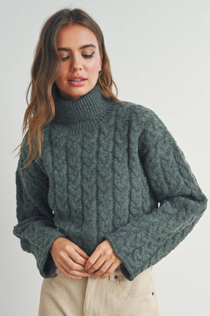 Thick Braid With Turtle Neck Long-Sleeve Sweater