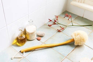 Back Body Brush w/Handle All Natural