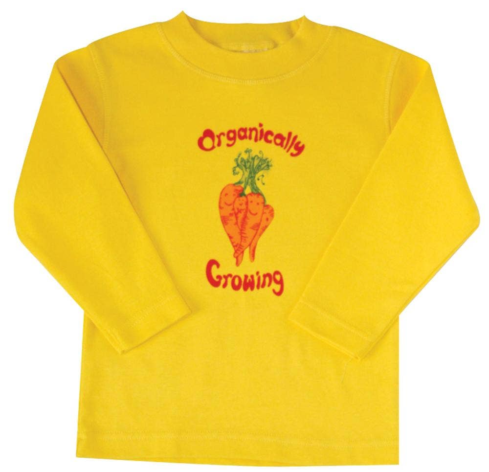 Yellow Carrot