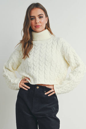 Thick Braid With Turtle Neck Long-Sleeve Sweater