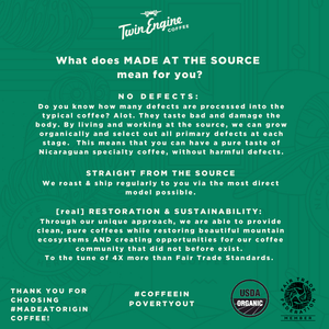 Honey Bear Black / WB Organic Fair Trade Specialty Coffee