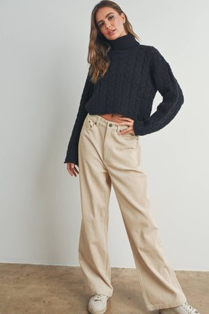 Thick Braid With Turtle Neck Long-Sleeve Sweater