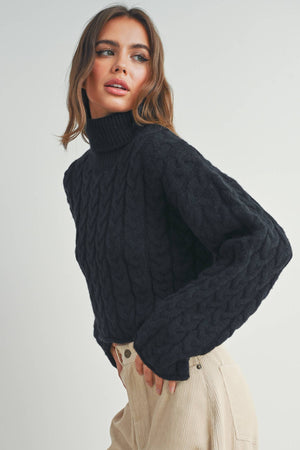 Thick Braid With Turtle Neck Long-Sleeve Sweater