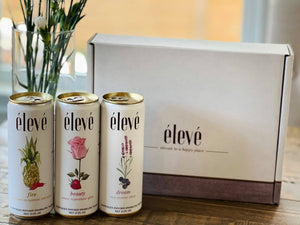 Fire, Beauty and Dream Botanical Water Sampler Gift Box