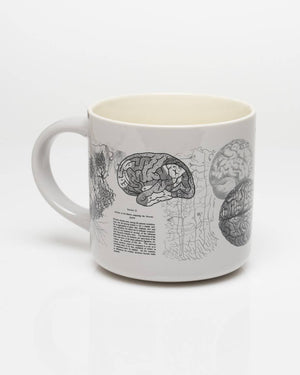 Brain Anatomy Ceramic Mug