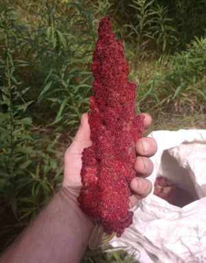 Sumac Loose Tea