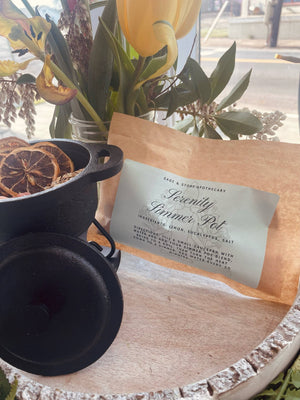 Lemon and Eucalyptus Simmer Pot Blend