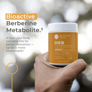 Dihydroberberine Capsules