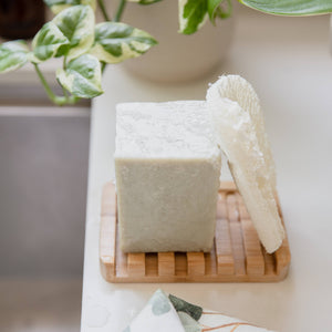 Compostable Dish Sponge - 3 Pack