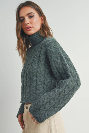 Thick Braid With Turtle Neck Long-Sleeve Sweater