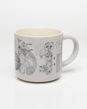 Brain Anatomy Ceramic Mug