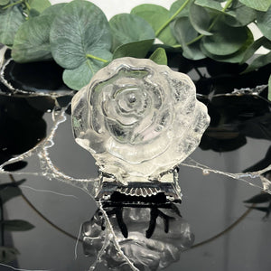 Silver Antler Display Stand