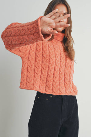 Thick Braid With Turtle Neck Long-Sleeve Sweater