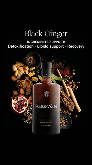 Black Ginger Botanical Infusion